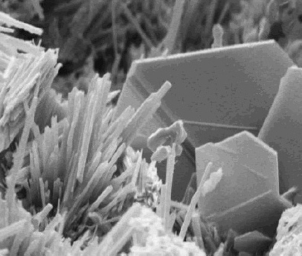 Calcium hydroxide - 526 - Noshly - Wise eating; made easy.